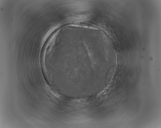 X0000074000147200609111607