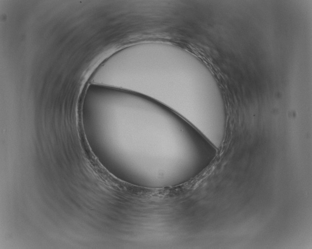 X0000074000148200609111607