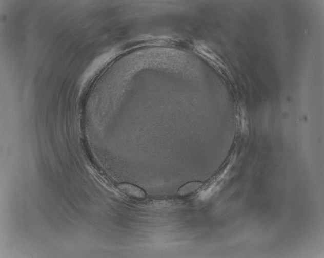 X0000074000149200609111607