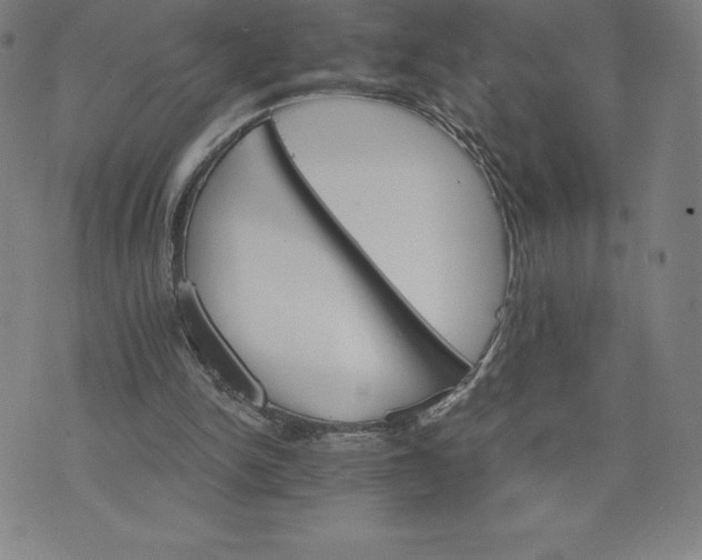 X0000074000150200609111607