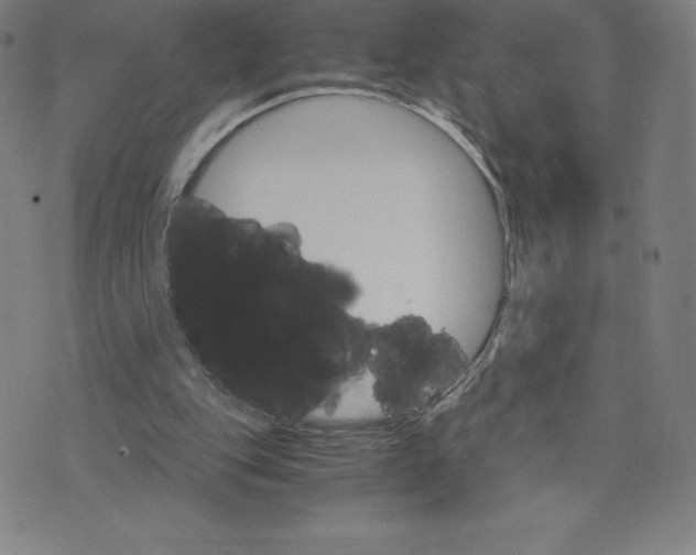 X0000074000151200609111607