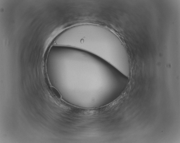 X0000074000152200609111607