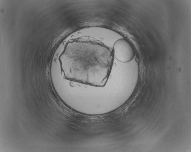 X0000074000153200609111607