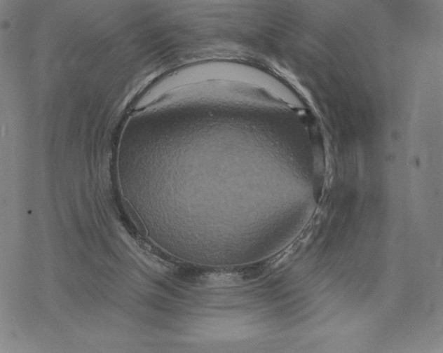 X0000074000154200609111607