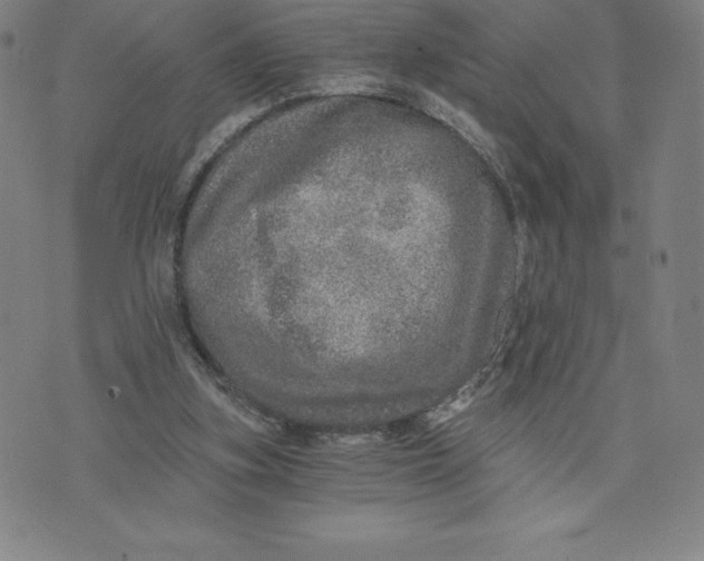 X0000074000155200609111607