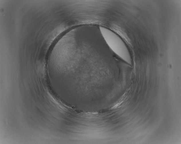 X0000074000156200609111607