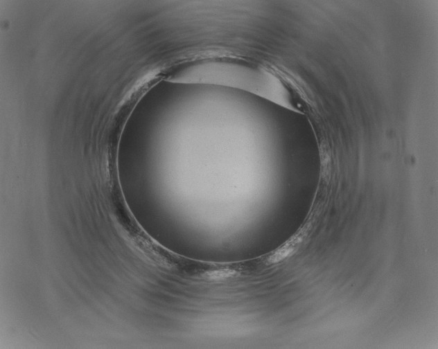 X0000074000158200609111607