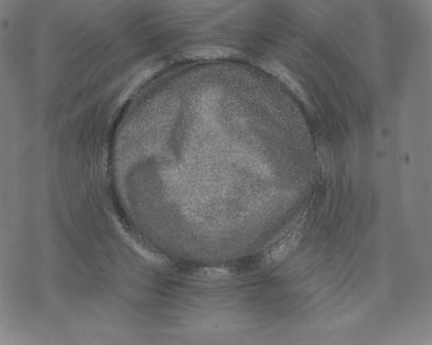 X0000074000159200609111607