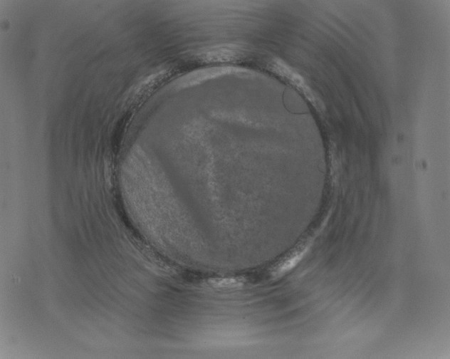 X0000074000161200609111607