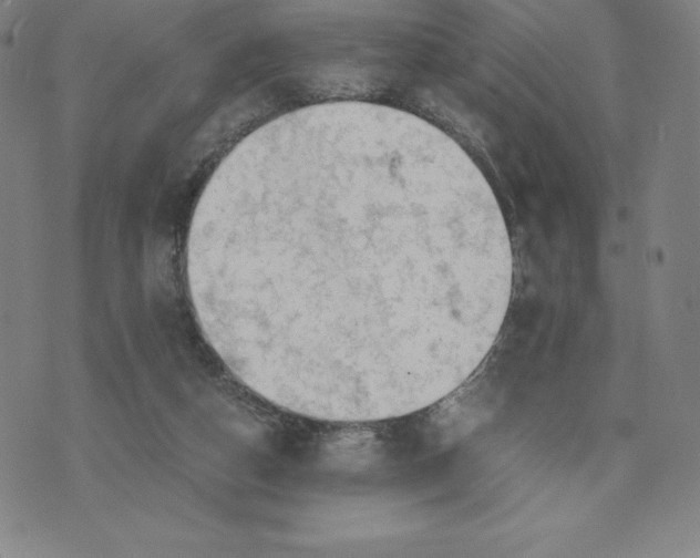 X0000074000162200609111607