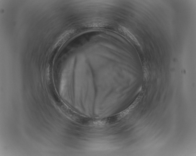 X0000074000163200609111607