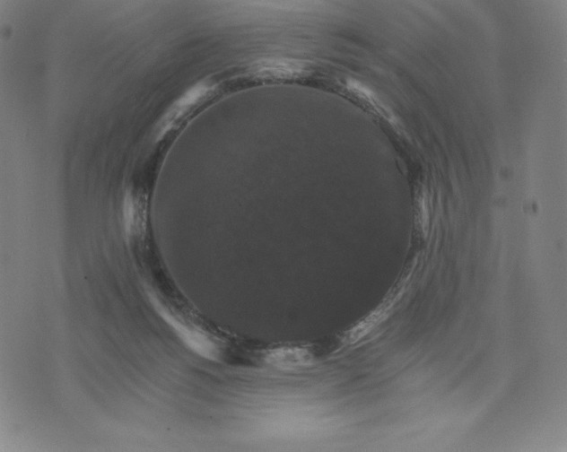 X0000074000168200609111607