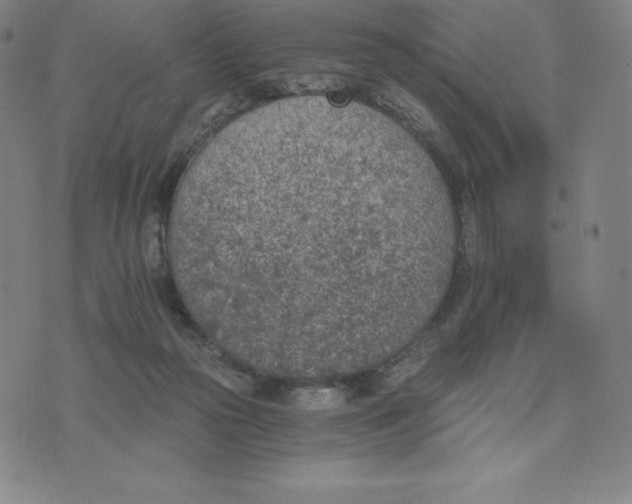 X0000074000169200609111607