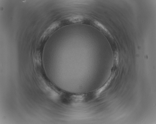 X0000074000170200609111607