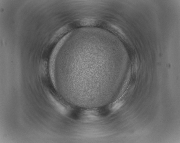 X0000074000171200609111607