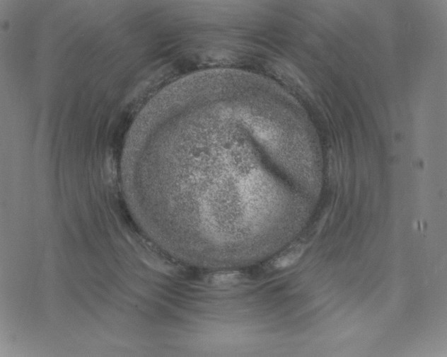 X0000074000173200609111607