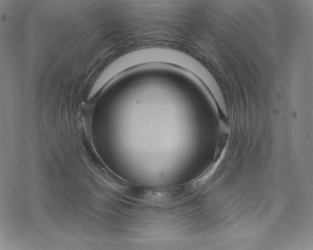 X0000074000174200609111607