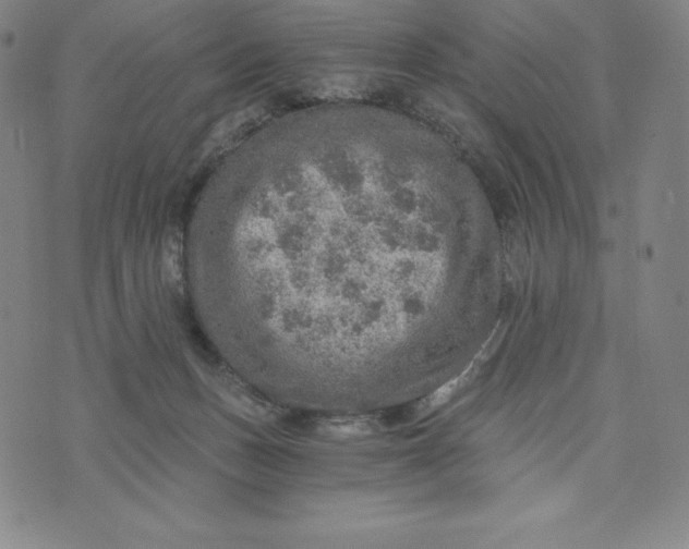 X0000074000175200609111607