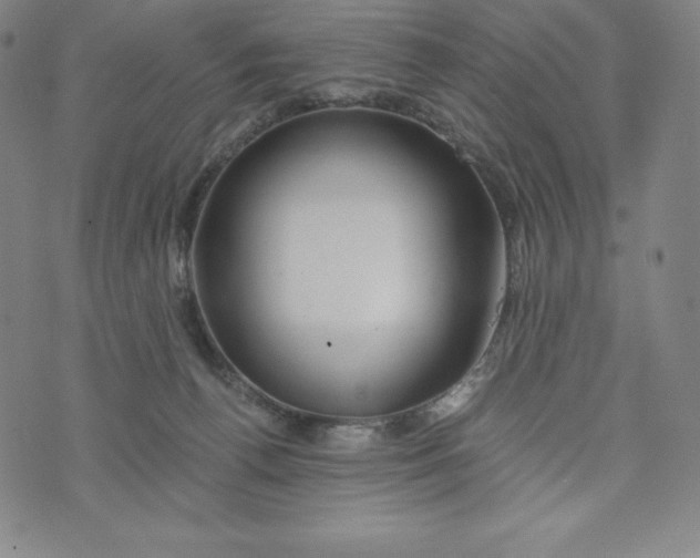 X0000074000176200609111607