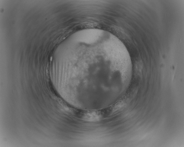 X0000074000177200609111607