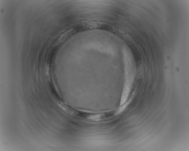 X0000074000178200609111607