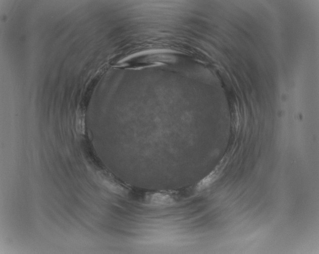 X0000074000180200609111607