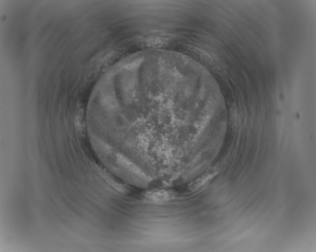 X0000074000181200609111607