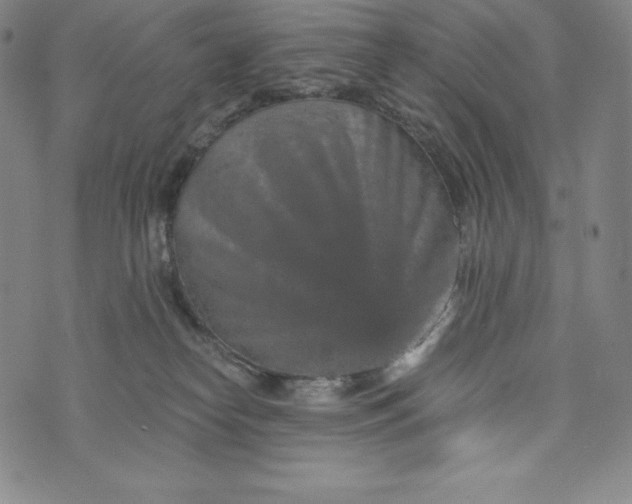 X0000074000182200609111607