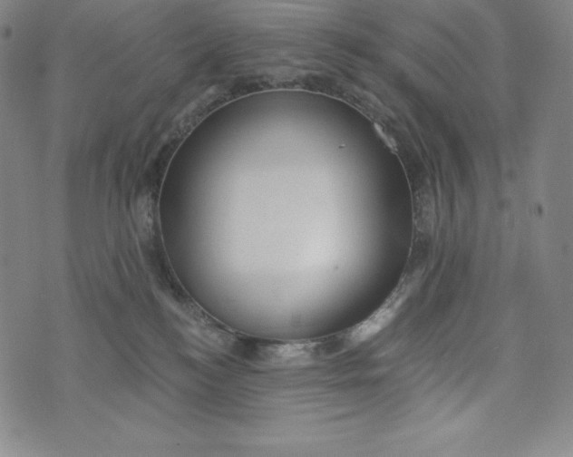 X0000074000184200609111607