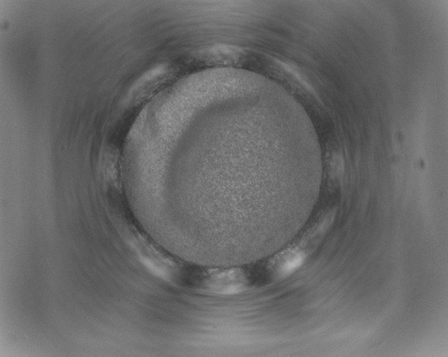 X0000074000185200609111607