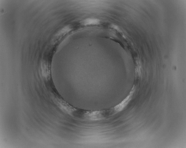 X0000074000186200609111608