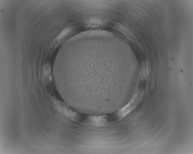 X0000074000187200609111608