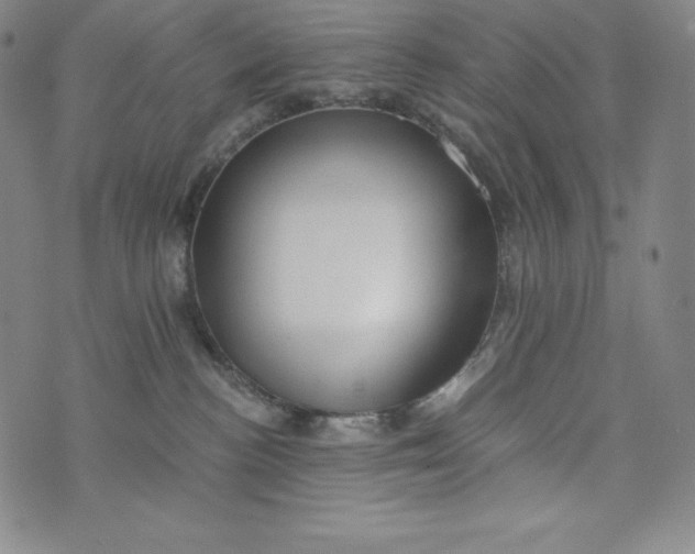 X0000074000188200609111608