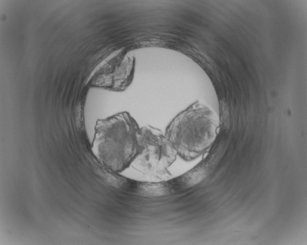 X0000074000189200609111608