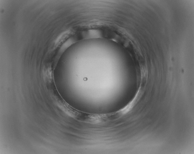 X0000074000190200609111608