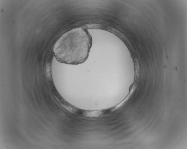 X0000074000191200609111608