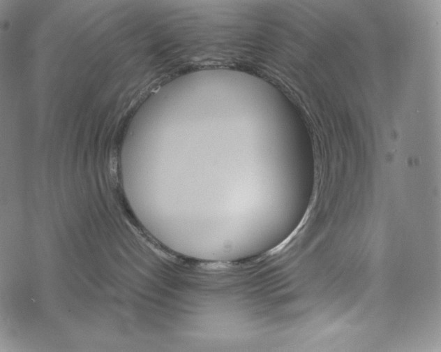 X0000074000192200609111608