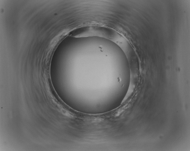 X0000074000193200609111607