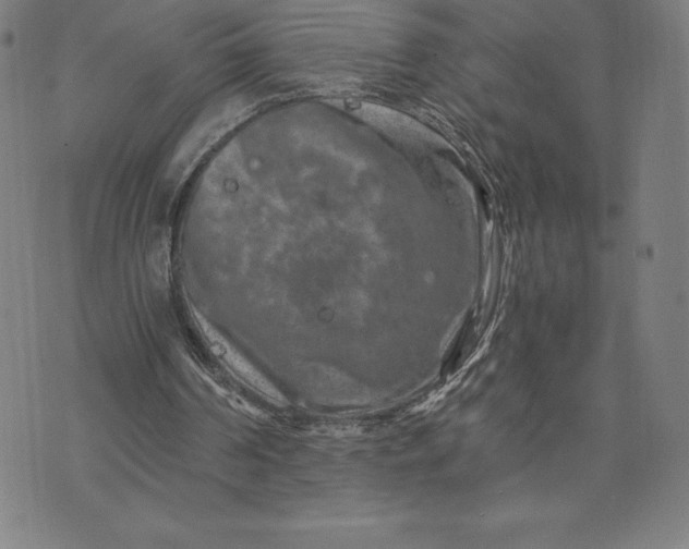 X0000074000194200609111607