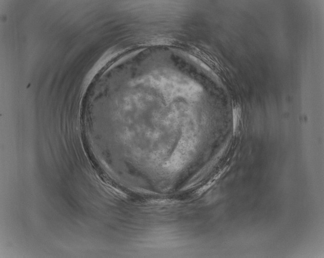 X0000074000195200609111607