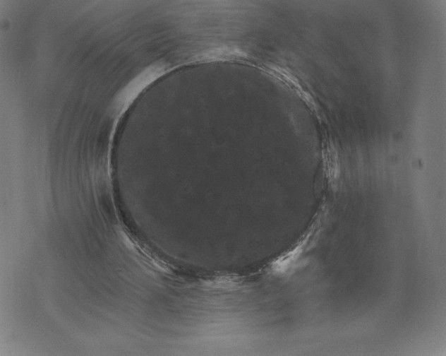 X0000074000196200609111607