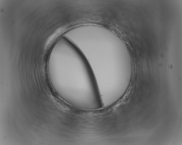 X0000074000197200609111607