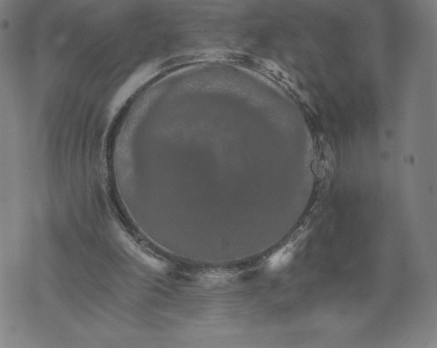 X0000074000198200609111607