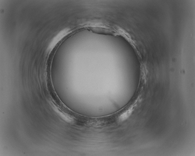 X0000074000199200609111607