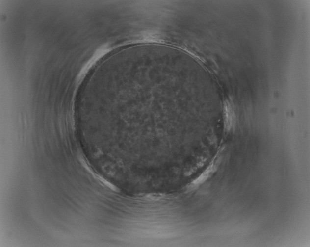 X0000074000200200609111607