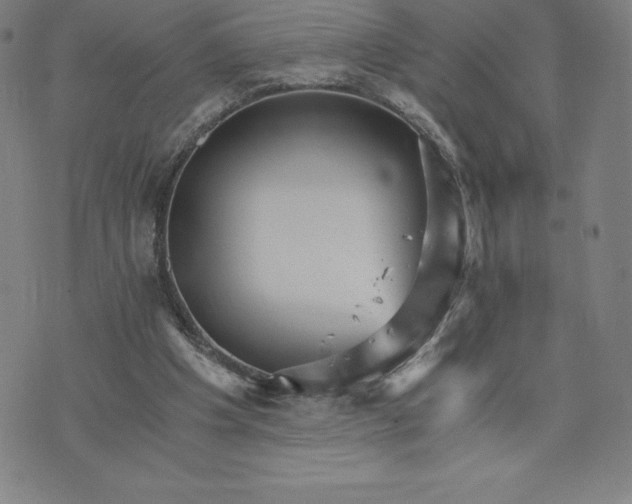 X0000074000201200609111607