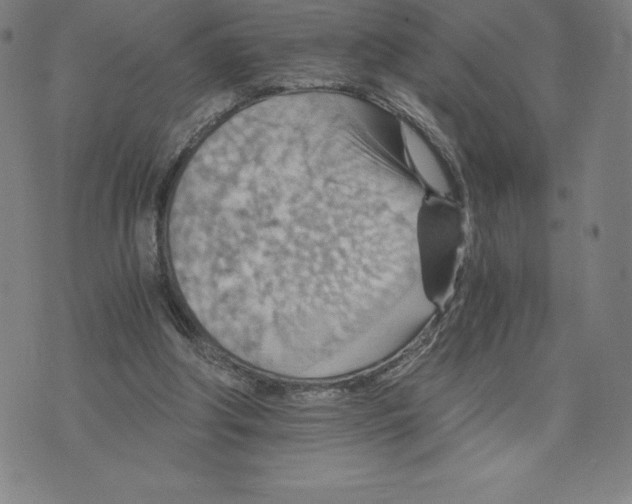 X0000074000202200609111607