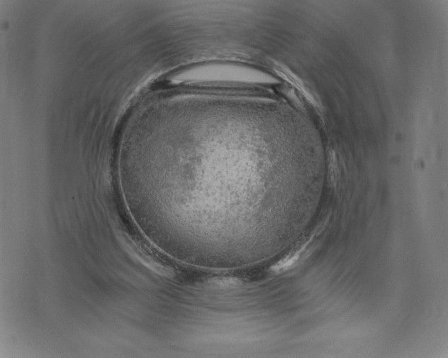 X0000074000203200609111607