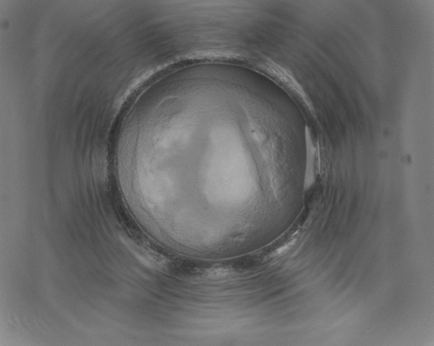 X0000074000204200609111607