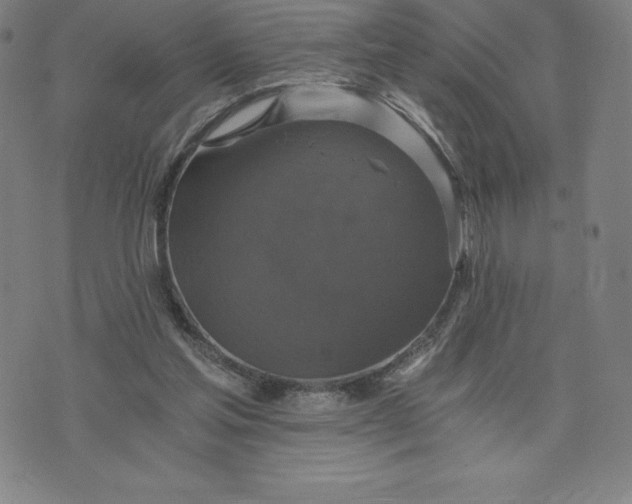 X0000074000205200609111607